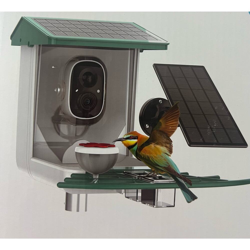 Bird Feeder With Camera & Solar